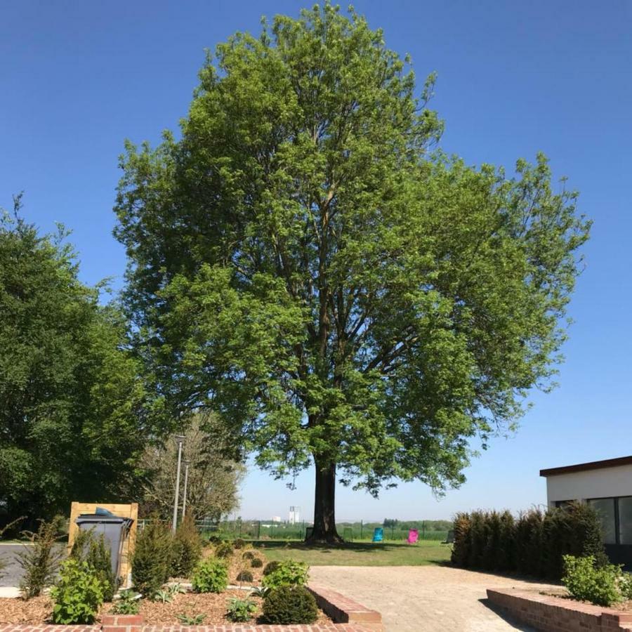 Gites Du Frene Wattignies Luaran gambar